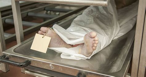 But someday, doctors hope to be able to maintain organs for weeks on end. . How long can a body stay in the morgue